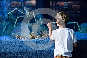 Young man pointing a giant crab