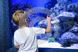 Young man pointing a stone in a tank