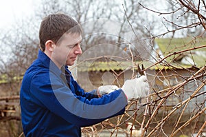 Young man pruning branch