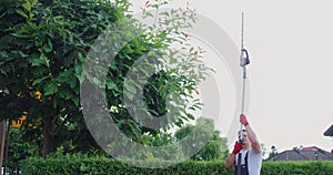 Young man pruning hedge with modern gardening tool