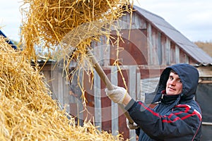 A young man puts the hay on a haystack