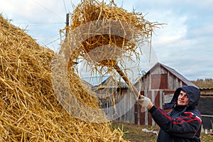 A young man puts the hay on a haystack