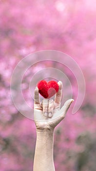 young man raises his hand and makes sign language symbol of I love you show love and friendship for each other. Sign language