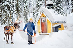 Young man and reindeer in Lapland
