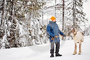 Young man and reindeer in Lapland