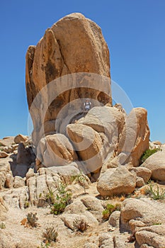 Young man rests under the rock looking in the distance. Joshua Tree National Park, CA, USA. Travel/adventure concept.