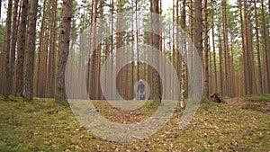 Young man riding on ecological electric transport. Adult driving unicycle, balancing electric wheel through the forest