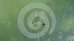 Young man riding on fly board with water jet spray over blue sea water. Fly board rider in open sea. Water sport at