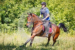 Young man riding horse on cross-country course