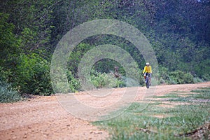 Young man riding mountain bike mtb in jungle track use for sport