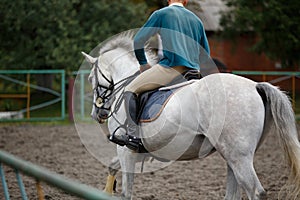 Young man riding white horse on equestrian sport training