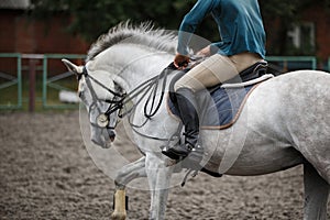 Young man riding white horse on equestrian sport training