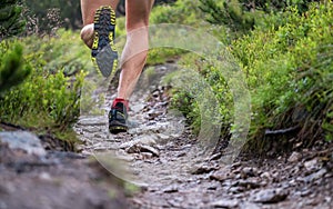 Young man running in the forest