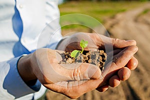 Young man`s Hands And Young Plant in empty land.