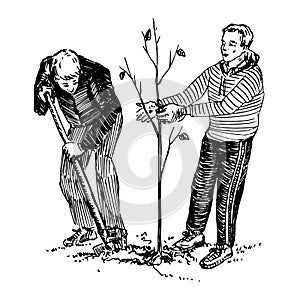 Young man with a shovel is planting a tree, other one holding it, hand drawn doodle, sketch, black and white illustration