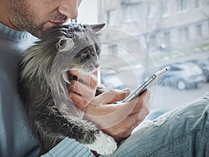 Young man sits on the windowsill, holds a beautiful, fluffy kitten on his lap