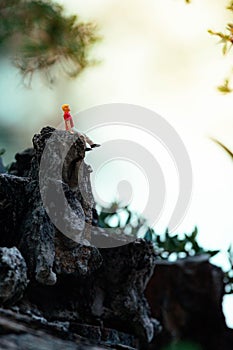 Young man sitting on a rock