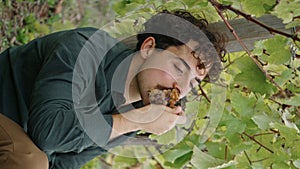 Young man sitting vineyard under bush eating grapes cluster vertically closeup