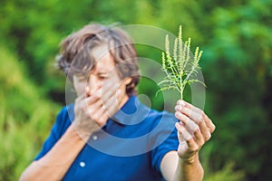 Young man sneezes because of an allergy to ragweed