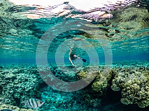 Young man snorkeling at coral reef in tropical sea photo