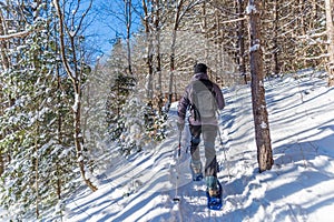 Young man snowshoeing in winter, in the Quebec eastern township