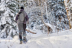 Young man snowshoeing in winter, in the Quebec eastern township