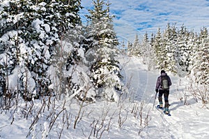 Young man snowshoeing in winter, in the Quebec eastern township