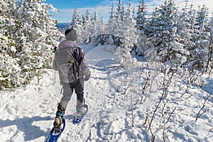 Young man snowshoeing in winter, in the Quebec eastern township