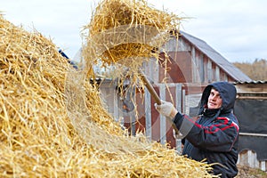 A young man stacks a haystack.