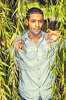 Young man standing behind long green leaves, looking forward
