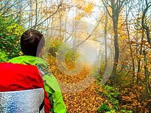 Young man standing and looking at foggy path in forest