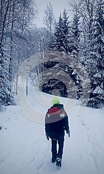 Young man standing among snowy trees in winter forest and enjoying first snow. Wearing hat and bagpack on travel photo