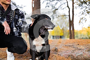 Young man stroking his old dog in autumn forest. Pet owner and old black labrador retriever in nature.