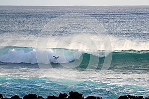 Young Man Surfing on the Big Waves in Pacific Ocean at Hanga Roa, Easter Island, Chile