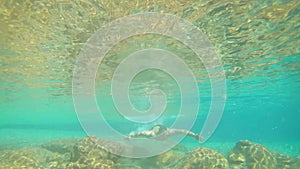 Young man swimming in blue clear under water of waterfall with many rocks from flat angle