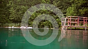 Young man swimming breaststroke in the lake