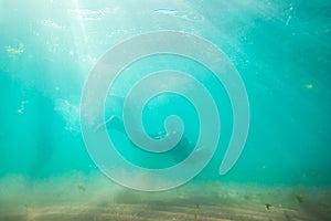 Young man, swimming underwater, diving in the sea