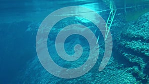 Young man swimming underwater into the blue clear lake