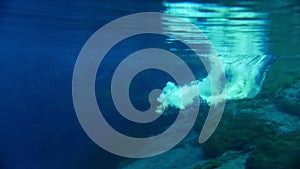 Young man swimming underwater in the clear blue lake