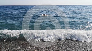 Young man swims among the waves in the sea water. Video 8 seconds, with sound