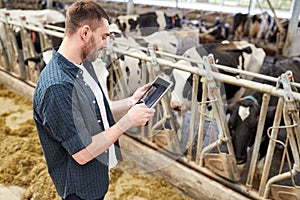 Young man with tablet pc and cows on dairy farm