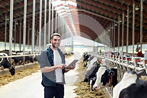 Young man with tablet pc and cows on dairy farm