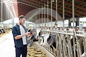 Young man with tablet pc and cows on dairy farm