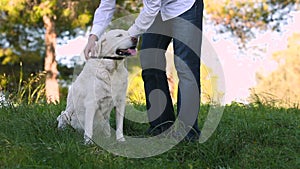 Young man taking old dog with a leash