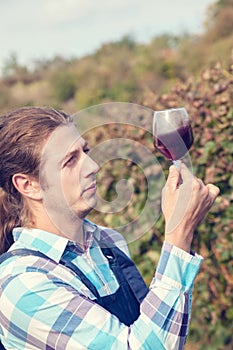 Young Man Tasting Wine