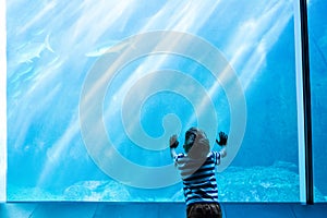 Young man touching a giant fish-tank