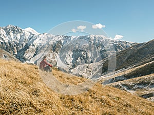 Young man tourist sits in mountain and look into distance. Snowy peaks background. Wild life travel concept