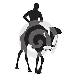 Young man traveler riding camel silhouettes vector isolated illustration