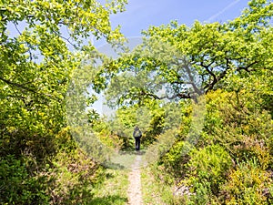 Young man treking in nature north from Lisbon, Portugal photo