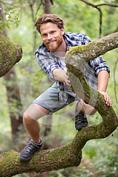 young man up on tree
